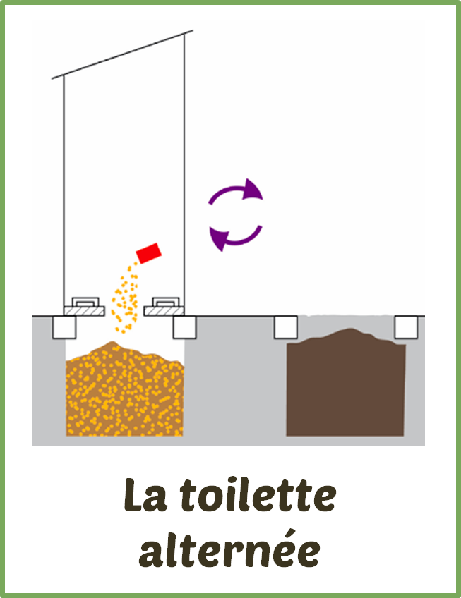 La toilette alternée