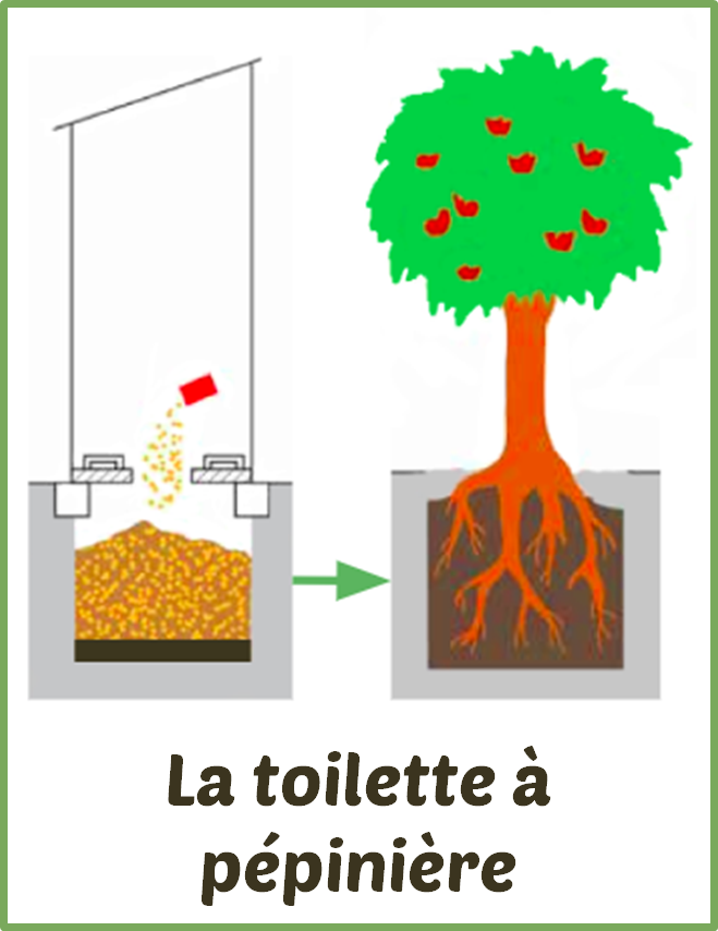 La toilette à pépinière